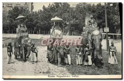 Cartes postales Elephant Elephants Inde