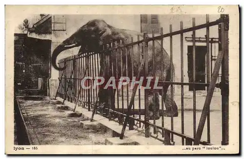 Cartes postales Elephant Lyon Au par Loulou