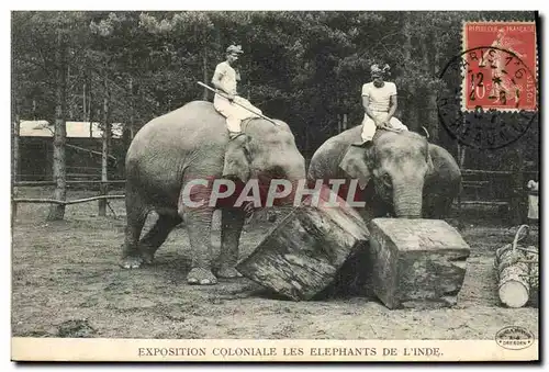 Cartes postales Elephant Exposition coloniale des Elephants de l&#39Inde