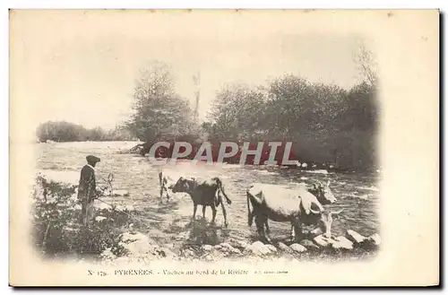 Ansichtskarte AK Folklore Pyrenees Vaches au bord de la riviere