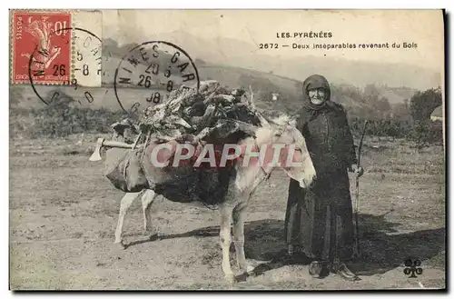 Ansichtskarte AK Folklore Pyrenees Deux inseparables revenant du bois Ane Mule