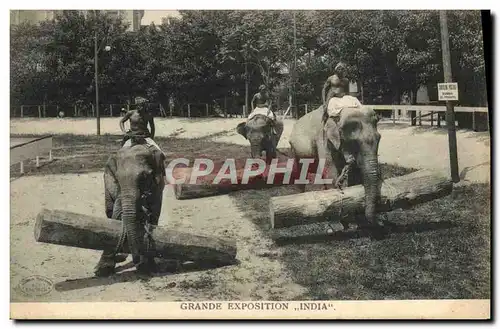 Cartes postales Elephant Grande exposition India