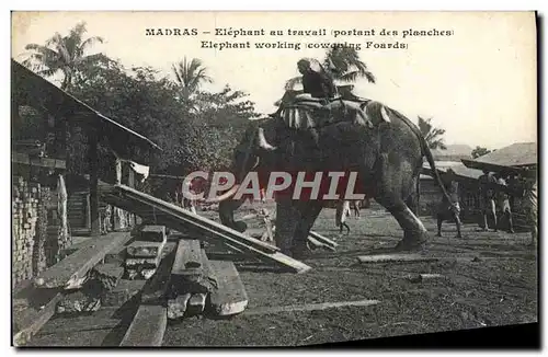 Cartes postales Elephant Madras Elephant au travail portant des planches