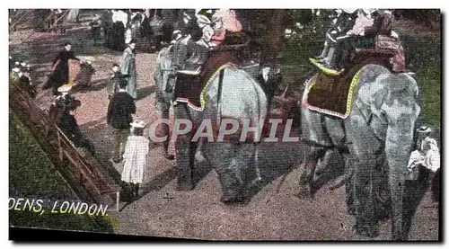 Cartes postales Elephant Scene in zoological Gardens London