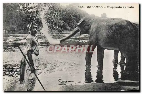 Ansichtskarte AK Elephant Colombo Elephants au bain