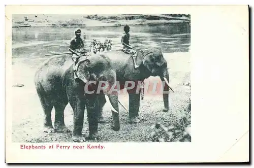 Ansichtskarte AK Elephant Elephants at Ferry near Kandy