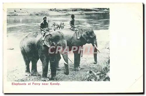 Cartes postales Elephant Elephants at Ferry near Kandy