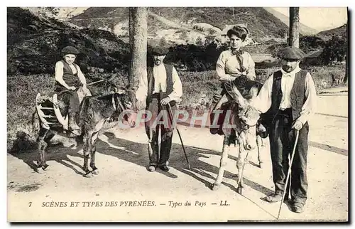 Cartes postales Pyrenees Types du pays Folklore Ane Mule