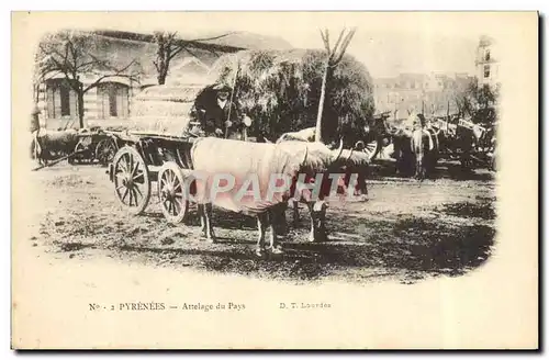 Ansichtskarte AK Attelage du pays Pyrenees Boeufs