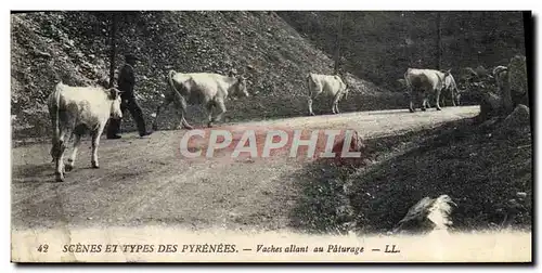 Ansichtskarte AK Pyrenees Vaches allant au paturage