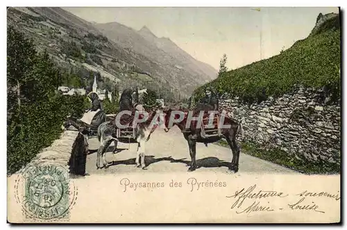 Cartes postales Paysannes des Pyrenees Ane Mule