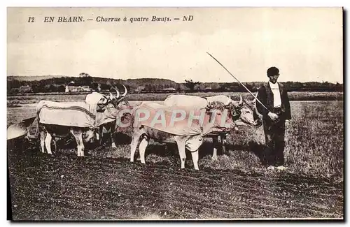 Cartes postales Attelage En Bearn Charrue a quatre boeufs