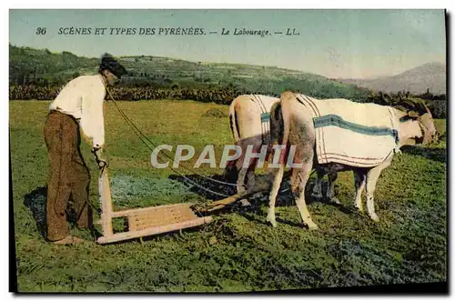 Cartes postales Attelage Le labourage