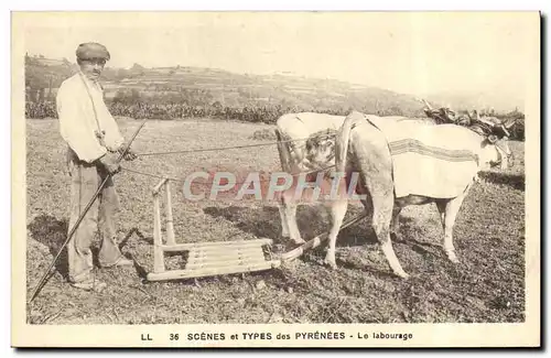 Ansichtskarte AK Attelage Pyrenees Le labourage