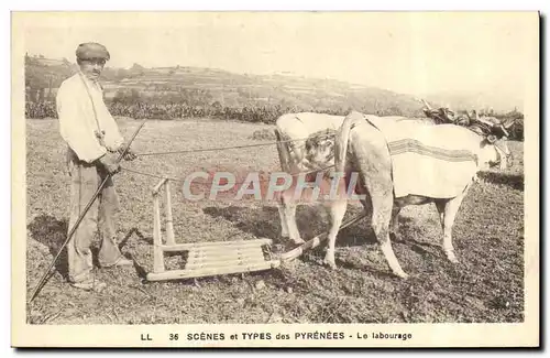 Cartes postales Attelage Pyrenees Le labourage