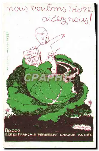 Cartes postales Politique Satirique 80 000 bebes francais perissent chaque annee Choux Droits de l&#39homme et d