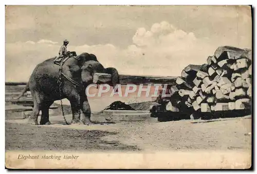 Cartes postales Elephant stacking timber