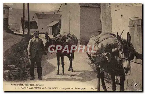 Cartes postales Folklore Pyrenees Moyens de transport Ane Mule