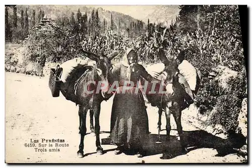 Cartes postales Folklore Sur la route Trois amis Ane mule