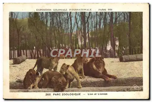 Cartes postales Lion et lionnes Parc zoologique Exposition coloniale internationale Paris 1931