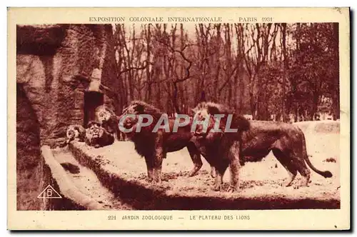 Cartes postales Lion Exposition coloniale internationale 1931 Jardin zoologique Le plateau des lions