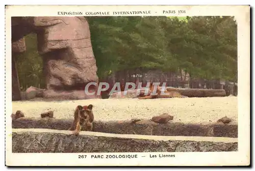 Cartes postales Lionnes Exposition coloniale internationale Paris 1931 Zoo