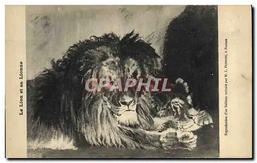 Cartes postales Felin Lion et sa lionne