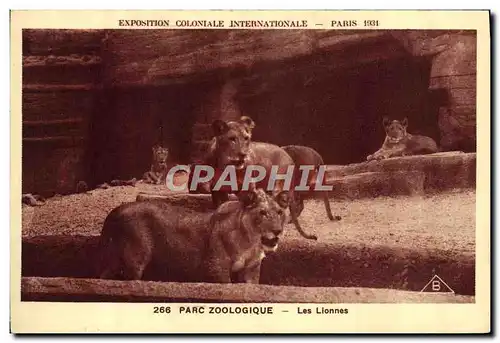 Cartes postales Felin Lion Exposition coloniale internationale Paris 1931 Parc zoologique Les lionnes