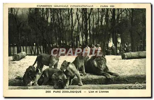 Ansichtskarte AK Felin Lion Exposition coloniale internationale Paris 1931 Parc zoologique Lion et lionnes