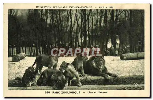 Cartes postales Felin Lion Exposition coloniale internationale Paris 1931 Parc zoologique Lion et lionnes