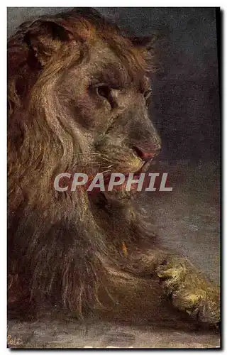 Cartes postales Felin Lion