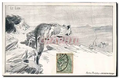 Cartes postales Felin Lion