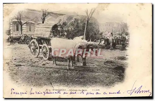 Cartes postales Folklore Pyrenees Attelage bearnais Boeufs