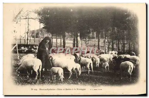 Ansichtskarte AK Folklore Hautes Pyrenees Patre et brebis a la montagne