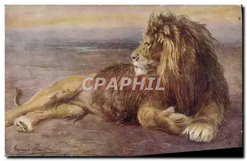 Cartes postales Felin Lion