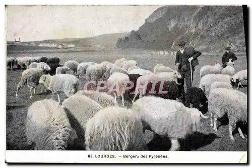 Cartes postales Folklore Lourdes Berger des Pyrenees