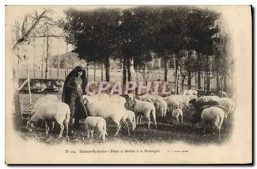 Ansichtskarte AK Folklore Attelage Hautes Pyrenees Patre et brebis a la montagne Moutons