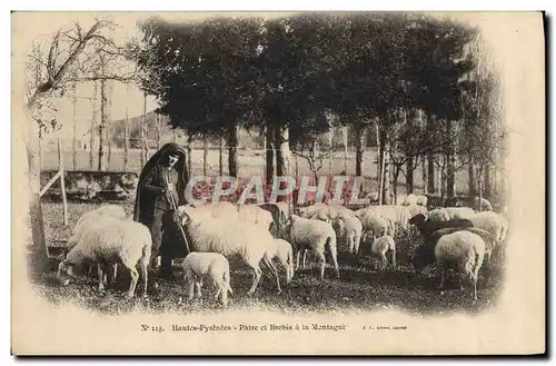 Cartes postales Folklore Attelage Hautes Pyrenees Patre et brebis a la montagne Moutons