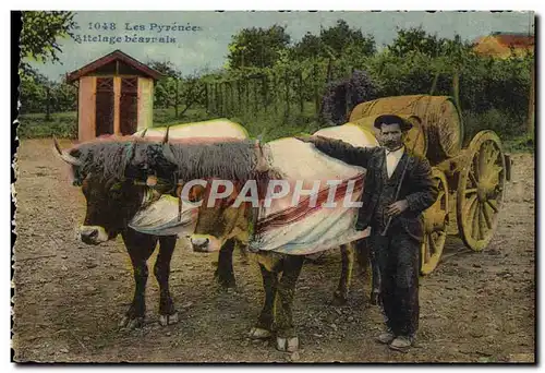 Cartes postales Folklore Pyrenees Attelage Beanais