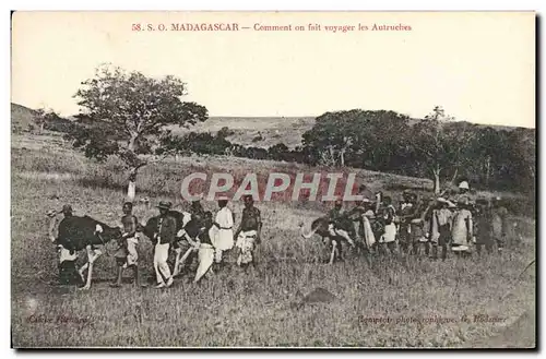 Cartes postales Madagascar Comment on fait voyager les autruches