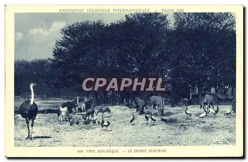 Ansichtskarte AK Paris Exposition coloniale internationale Paris 1931 Parc zoologique Les autruches La savane afr