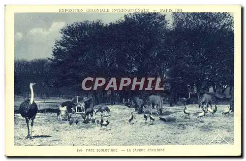Cartes postales Paris Exposition coloniale internationale Paris 1931 Parc zoologique Les autruches La savane afr