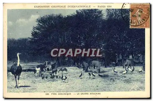 Ansichtskarte AK Paris Exposition coloniale internationale Paris 1931 Parc zoologique Les autruches La savane afr