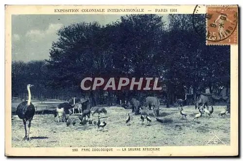 Cartes postales Paris Exposition coloniale internationale Paris 1931 Parc zoologique Les autruches La savane afr