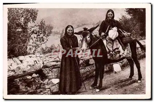 Cartes postales Folklore Pyrenees Femmes du pays allant au marche Ane Mule