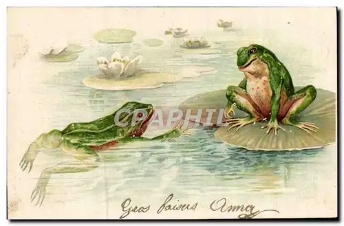 Cartes postales Grenouille Crapaud