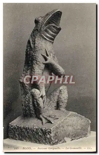 Ansichtskarte AK Grenouille Crapaud Blois Ancienne gargouille