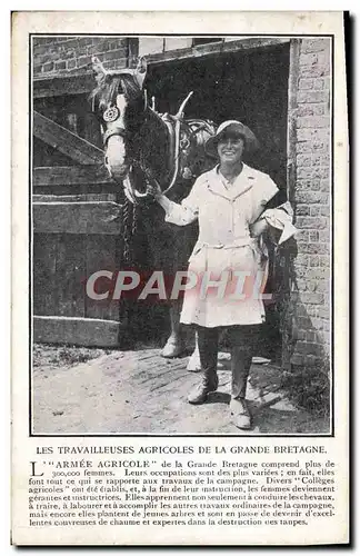 Cartes postales L&#39armee agricole Les travailleuses agricoles de la Grande Bretagne Cheval