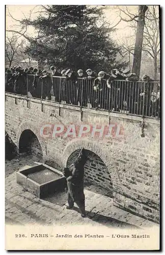 Ansichtskarte AK Ours Paris Jardin des plantes L&#39ours Martin