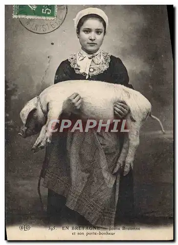 Ansichtskarte AK Folklore en Bretagne Jeune bretonne et son porte bonheur Cochon Porc